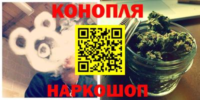 сатива Краснознаменск