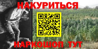 сатива Краснознаменск