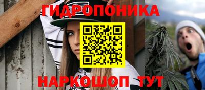 сатива Краснознаменск