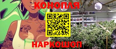 сатива Краснознаменск